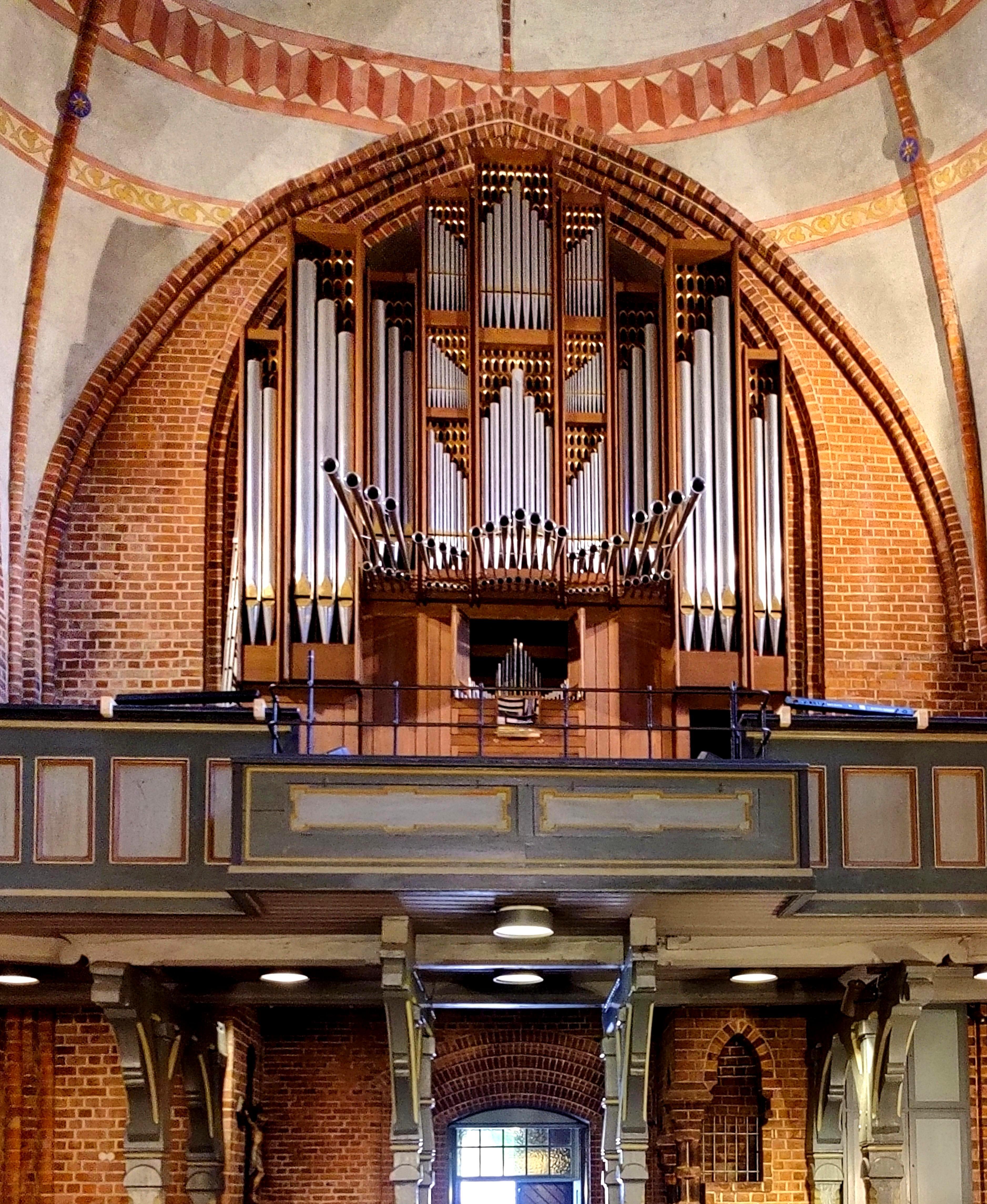 organ