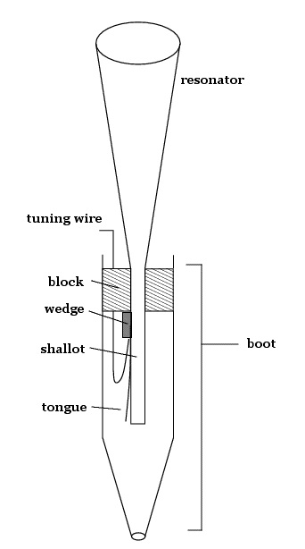 parts of the reed