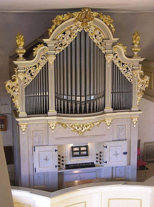 Frankenstein Organ